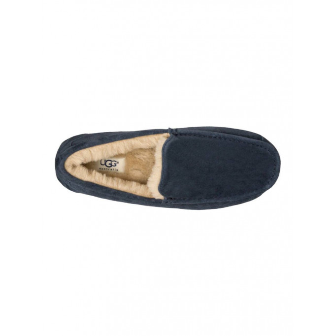 UGG Mens Ascot Navy