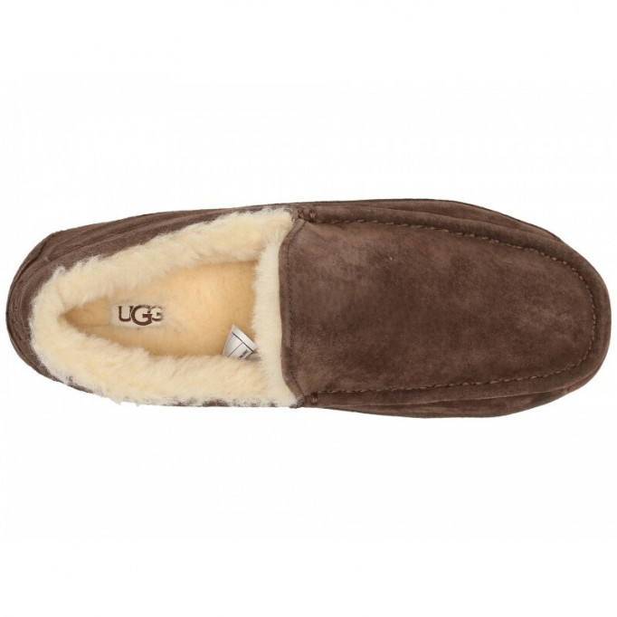 UGG Mens Ascot Chocolate