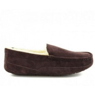 UGG Mens Ascot Chocolate