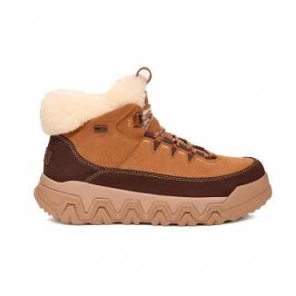UGG TerreTrail Cozy Lace Boot Chestnut