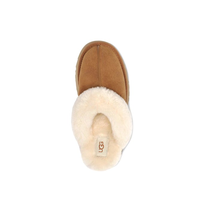 UGG Disquette Chestnut