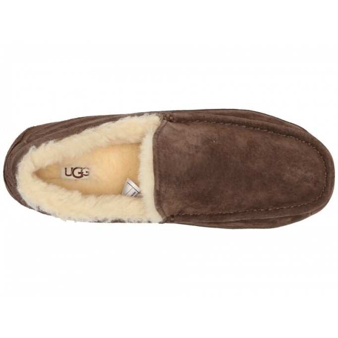 UGG Mens Ascot Chocolate