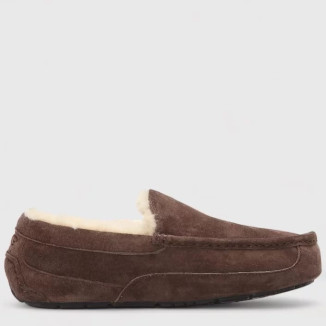 UGG Mens Ascot Chocolate